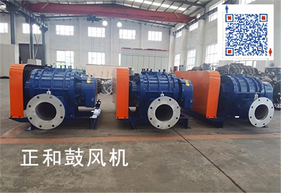 正和羅茨鼓風(fēng)機(jī)車間